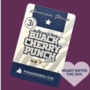 semillas black cherry punch auto 3+1 - pyramid seeds