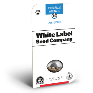 Semillas pure power plant 3+1 auto - white label