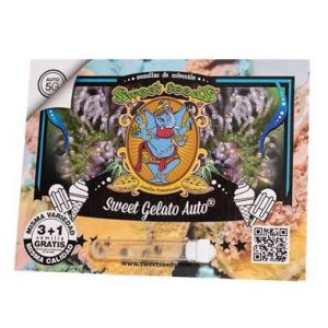 semillas sweet gelato 3+1 auto sweet seeds