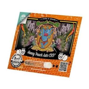 Semillas honey peach cbd auto 3+1sweet seeds