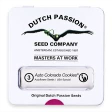 semillas colorado cookies auto x3 - ductch passion