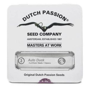 semillas duck auto x3 - dutch passion