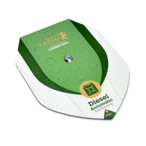 semillas diesel auto x3 royal queen seeds