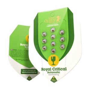 semillas royal critical auto x1 royal queen seeds