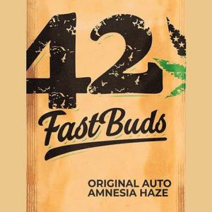 Semillas original amnesia haze auto x3 fast bud