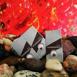 semillas tutankhamon x1 auto pyramidseeds.