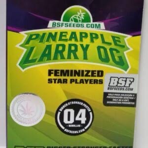 semillas pineapple larry og  x4 fem - bsf seeds