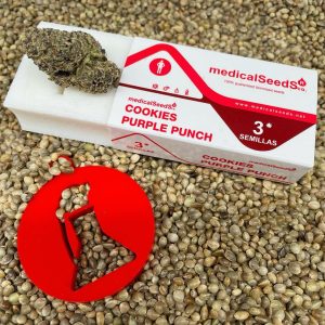 Semillas cookies purple punch fem x3 - medical seeds