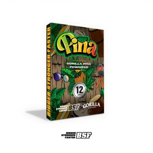 Semillas gorilla piña fem x12 - bsf
