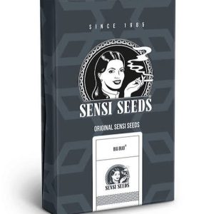 Semillas big bud auto x3 - Sensi seeds