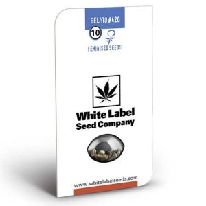 Semillas gelato #420 3+1 fem - white label by Sensi seeds