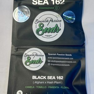 Semillas black sea 162 x3 fem - spanish passion seeds