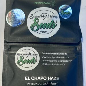 Semillas el chapo haze x3 fem - spanish passion seeds