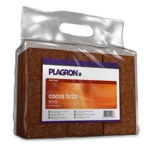 Cocos brix 6 unidades - plagron