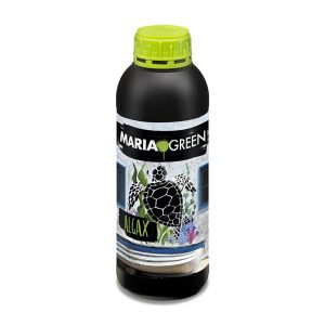 Algax 1lt - María green