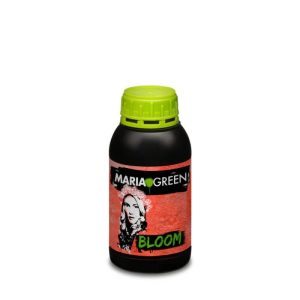 Bloom 500ml - María green